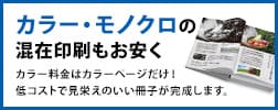 カラー・モノクロの混在印刷もお安く。カラー料金はカラーページだけ！低コストで見栄えのいい冊子が完成します。