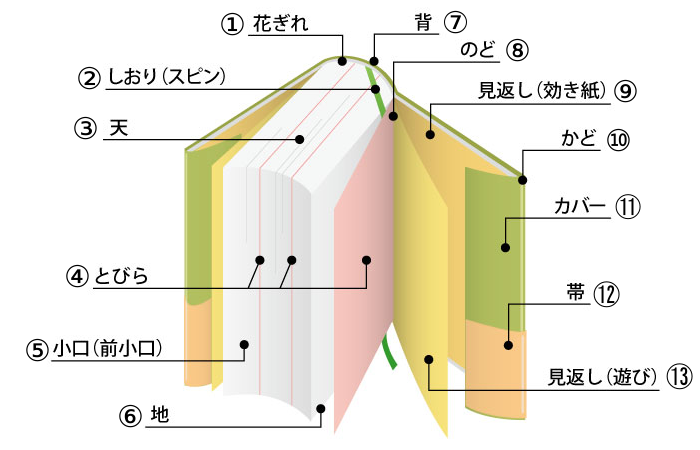 花ぎれ、小口とは？ 本の各部13の名称