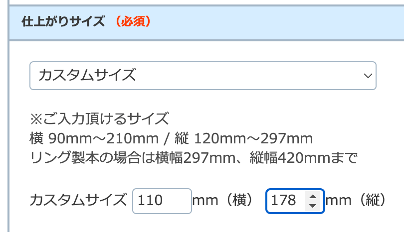 カスタムサイズ