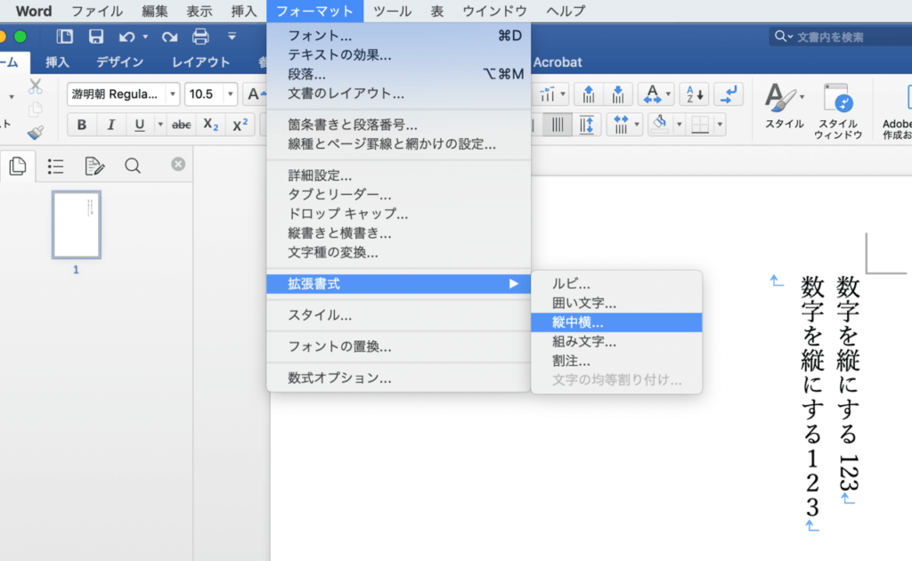 半角を使いたい時は「拡張書式」で「縦中横」を使います。