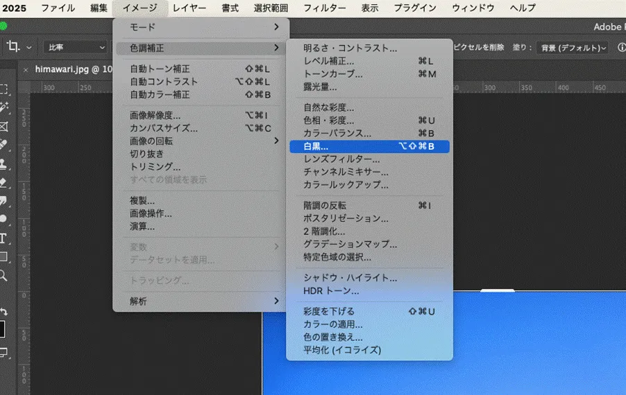 白黒