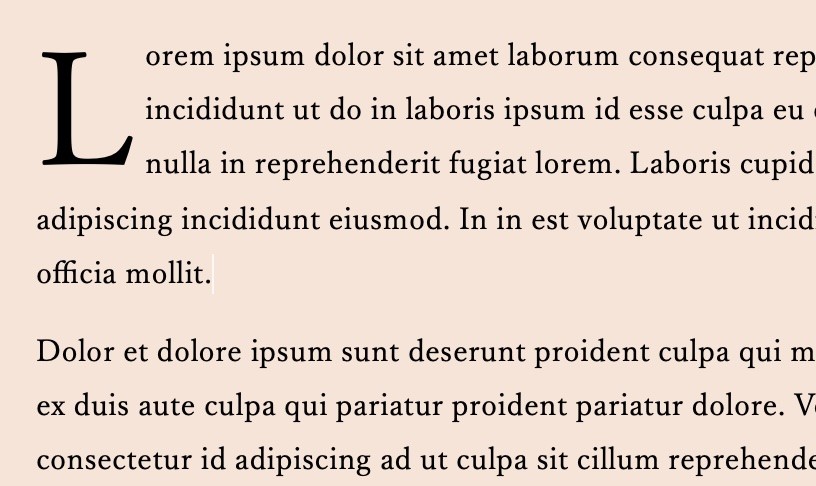 ドロップキャップの適用完了