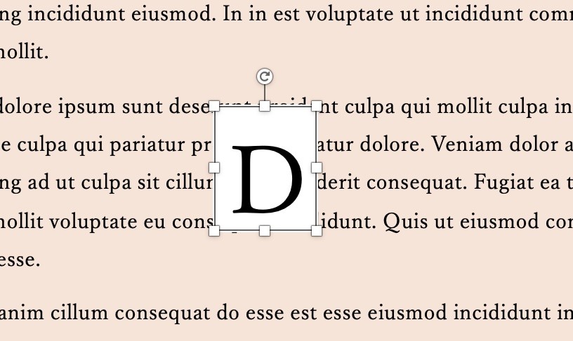 適当な場所でフレーム作成後、①でコピーした文字を貼り付け
