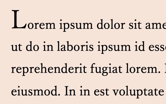 先頭文字のフォントサイズを任意の大きさに変更