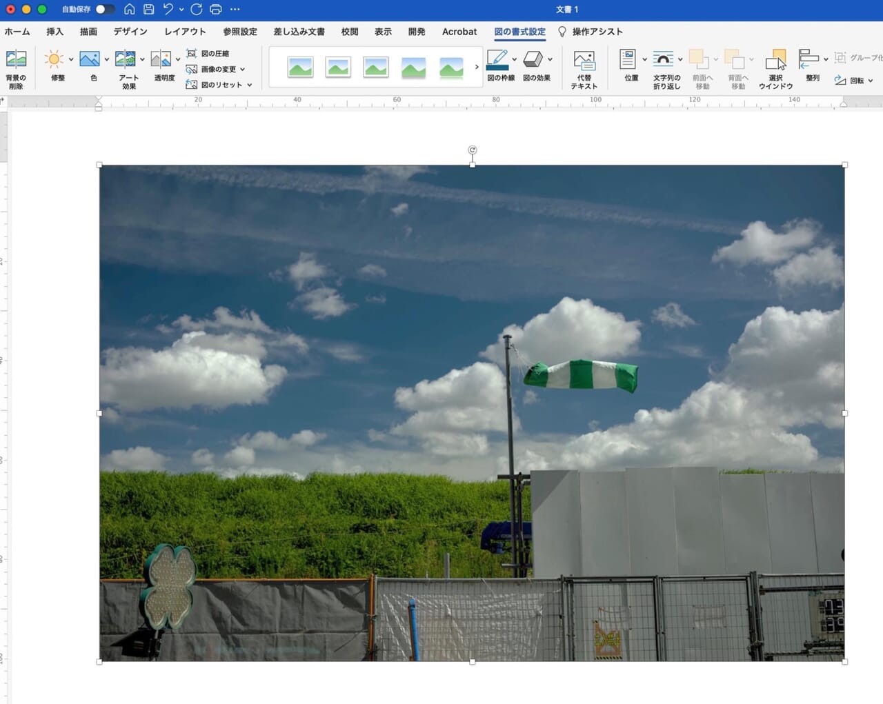 修正後の画像（明るさ：+2、コントラスト：-1）