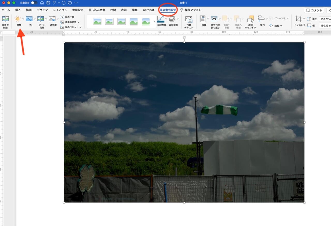 【図の書式設定】タブから［修整］をクリック