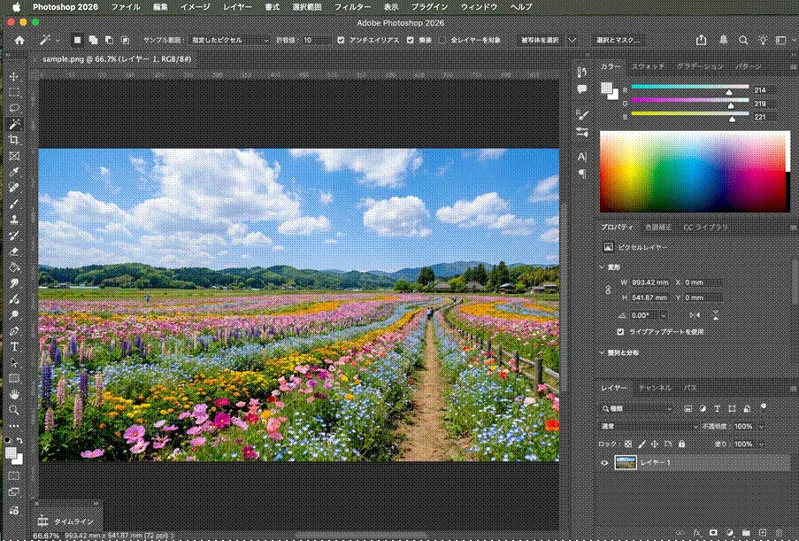 Photoshopの編集画面