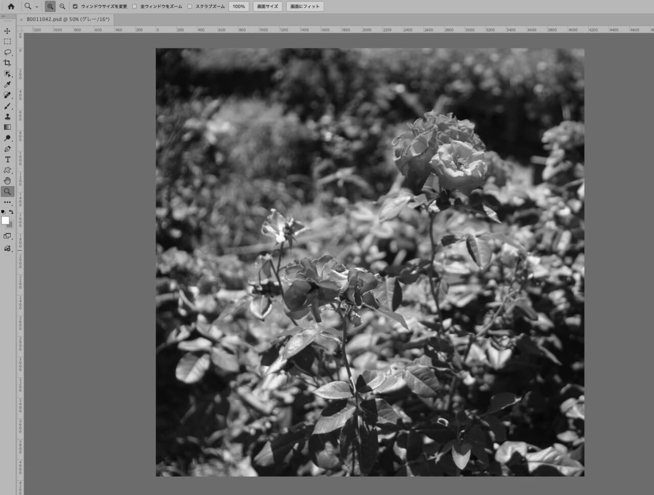 【Photoshop】白黒写真（モノクロ）をカラー化する3つの方法（手動、AI）