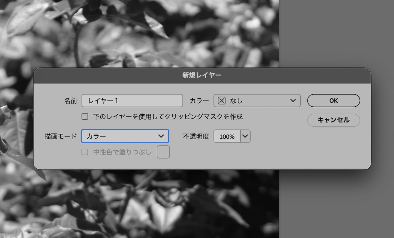 新規レイヤーの作成