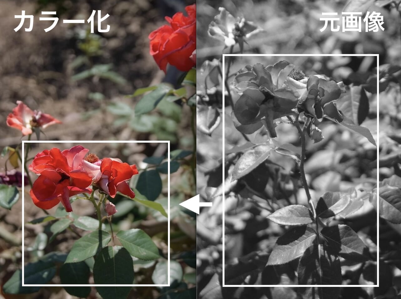 Flux.2と元画像